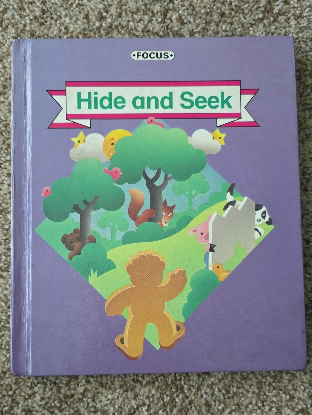 Early Reading - Focus Hide and Seek Kids Hardcover Book